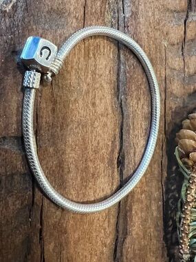 Sterling Silver Snake Chain Bracelet - Silver